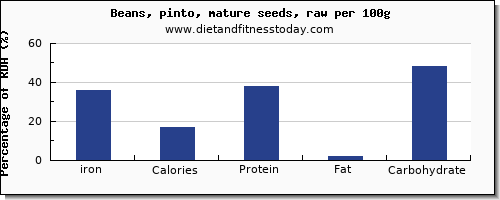 iron and nutrition facts in pinto beans per 100g